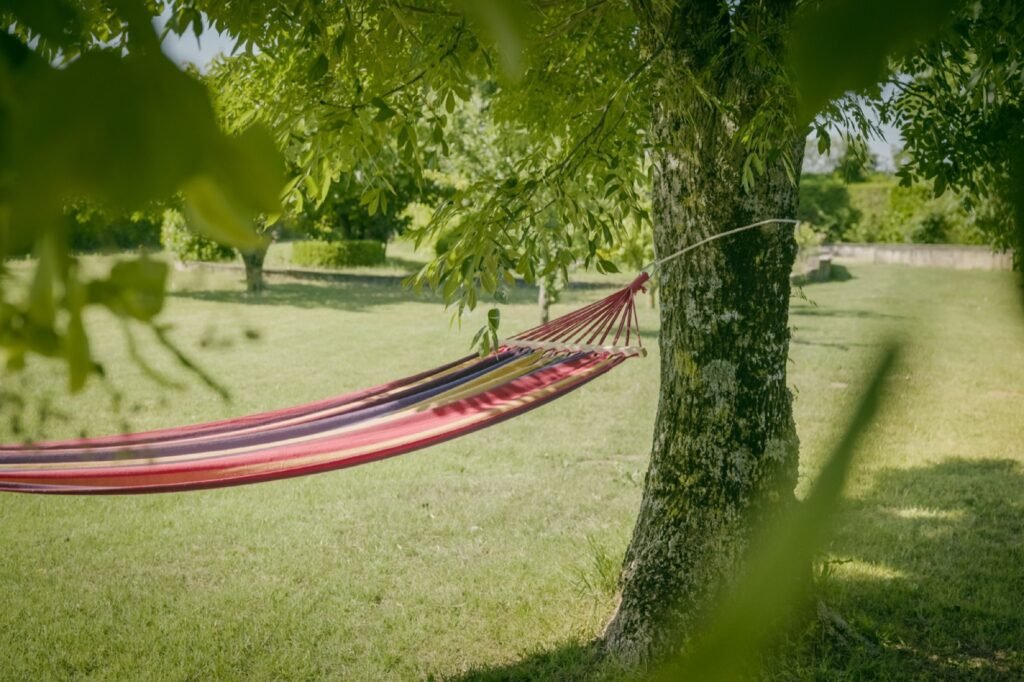 Hamac dans le jardin du Mas